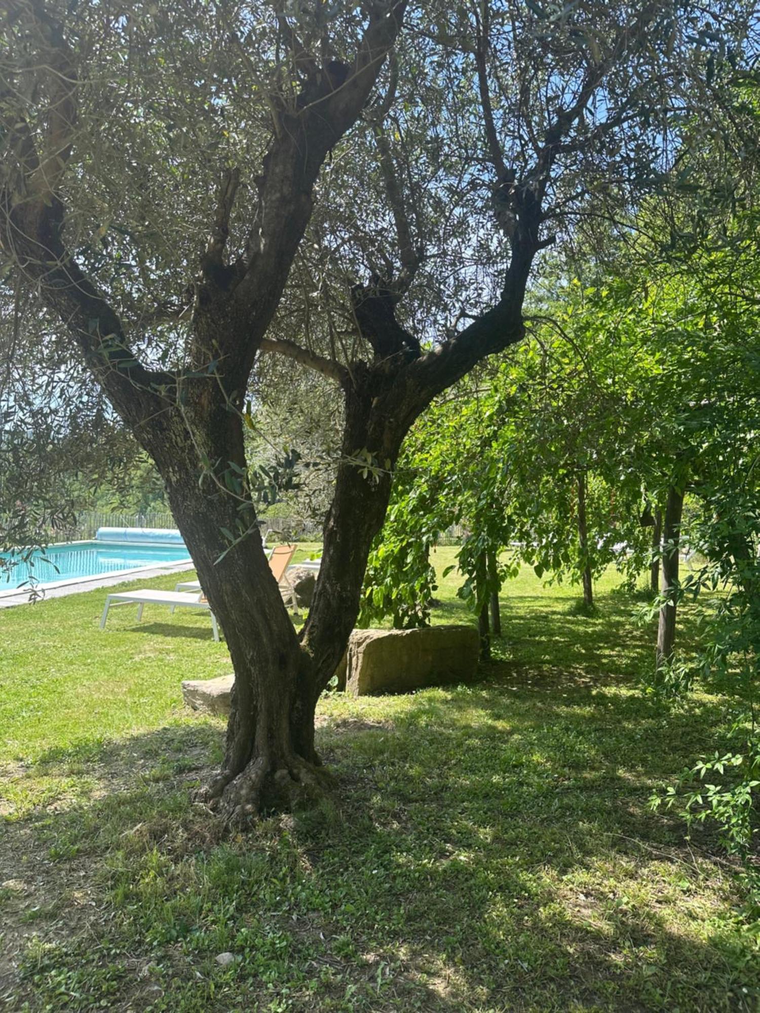 Villa Collina Di Sopra Tresana Exterior foto
