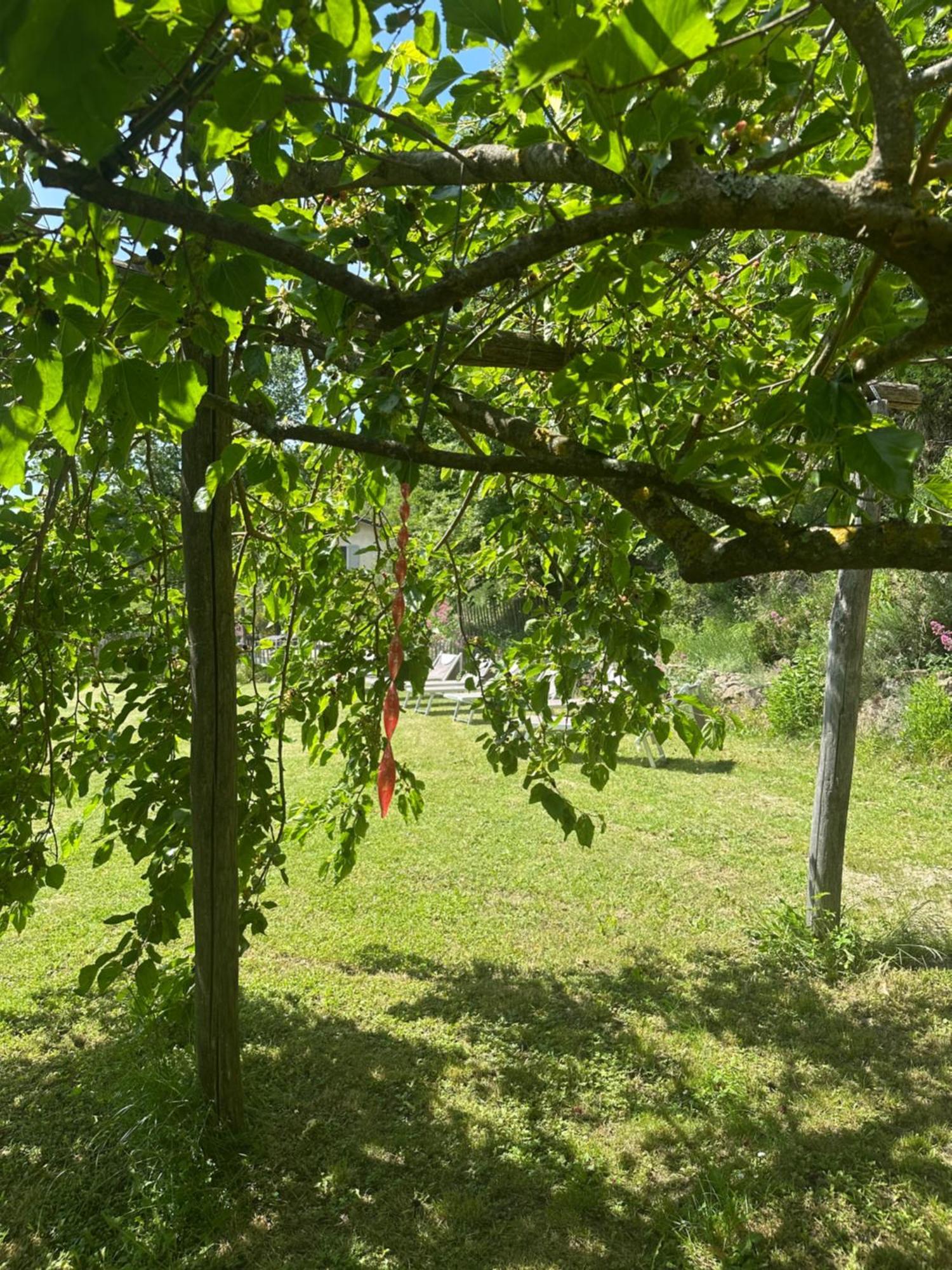 Villa Collina Di Sopra Tresana Exterior foto